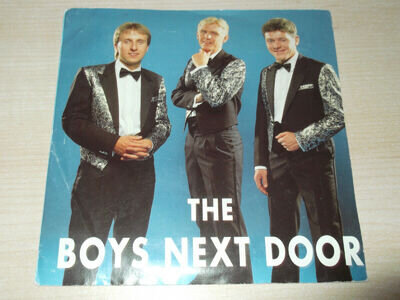 The boys next door Faraway beech 7" Vinyl Record + poster & signed promo sheet
