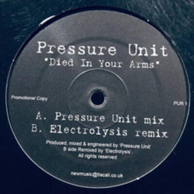 Pressure Unit Died In Your Arms 12" vinyl UK New Music 2006 promo PUR1