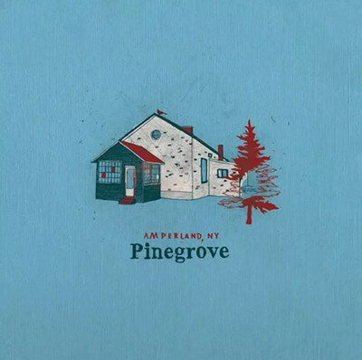 PINEGROVE - Amperland Vinyl 2LP. New and Sealed