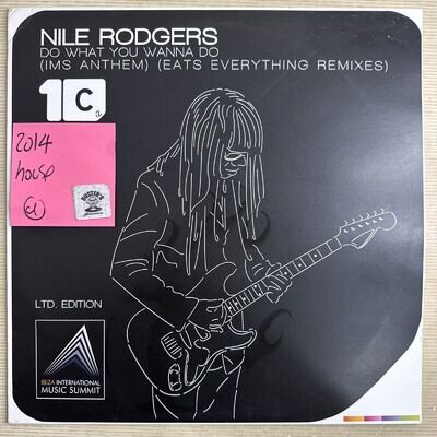Nile Rodgers - Do What You Wanna Do 12" Vinyl Record Single EX