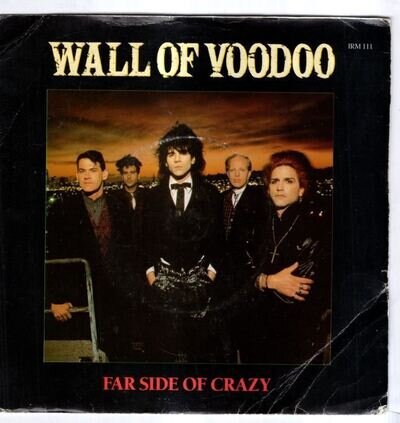 Far Side Of Crazy : Wall Of Voodoo