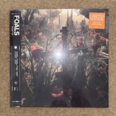 Foals Everything Not Saved Will Be Lost Part 2*Limited Edition Coloured Vinyl *