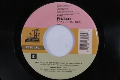 Alternative 45 FILTER Take A Picture REPRISE VG+/VG++ with jukebox tag HEAR d