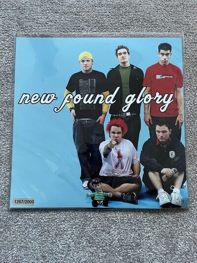 New Found Glory Self Titled Vinyl NFG picture Disc Limited /2000 Stormtrooper Lp