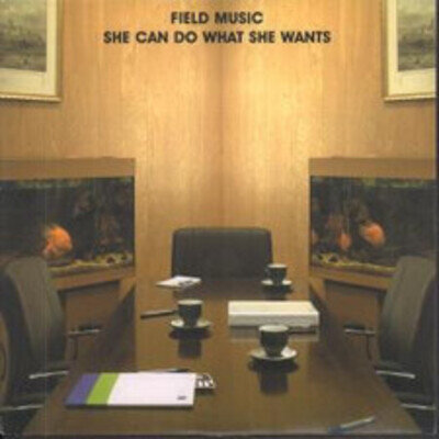 Field Music She Can Do What She Wants 7" vinyl UK Memphis Industries 2007 B/w