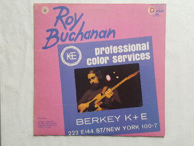 Roy Buchanan – Roy Buchanan - Polydor – 2482 275 - Vinyl, LP, Album