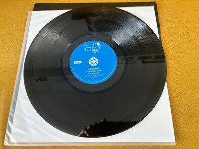 AQUARIUS [PHOTEK] - DOLPHINS TUNE - 1994 GOOD LOOKING RECORDS 12" - LTJ BUKEM