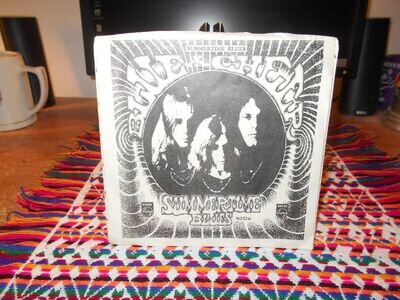 BLUE CHEER SUMMERTIME BLUES PHILIPS WITH PICTURE SLEEVE 1968 HEAVY PSYCH