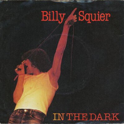 Billy Squier - In The Dark - Used Vinyl Record 7 - 47 - B1450z