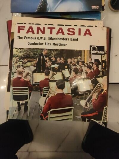 Fantasia The Famous CWS Band