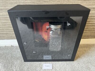 Alice In Chains Jars of Flies Limited Edition Box Set Tri Colored Vinyl LP 30th