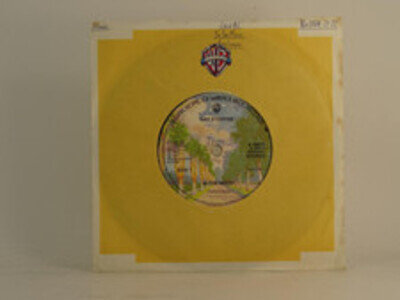 RAY STEVENS IN THE MOOD (71) 2 Track 7" Single Picture Sleeve WARNER BROS RECORD