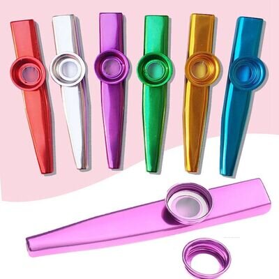 Beginner Flute Instrument Metal Kazoo Music Lovers Tool Woodwind Instruments