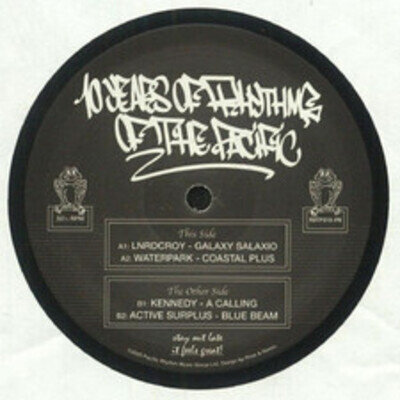 10 Years Of Rhythms Of The Pacific Sampler