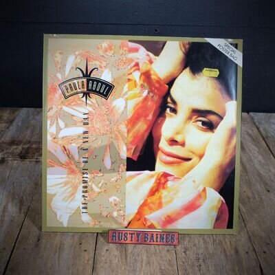 Record 12" Single, Paula Abdul The Promise of a New Day - Grade VG Poster Sleeve