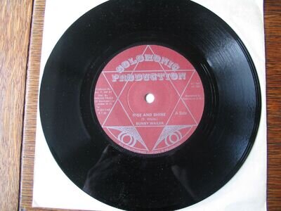 Bunny Wailer - Rise And Shine. 7" Vinyl Single.