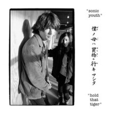 Sonic Youth Hold That Tiger (Vinyl) 12" Album