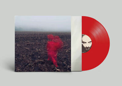 Will Varley The Hole Around My Head (Vinyl) 12" Album Coloured Vinyl