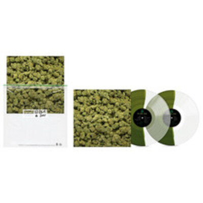 DR. DRE - 2001 25TH ANNIVERSARY EDITION 2LP LE2001 New Sealed Green Clear Split