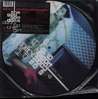 Goo Goo Dolls picture disc LP vinyl record Dizzy Up The Girl
