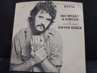DAVID ESSEX " OH WHAT A CIRCUS " 7" EX+ COND.IN PIC SL.