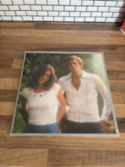 The Carpenters Horizon Vinyl LP 1975