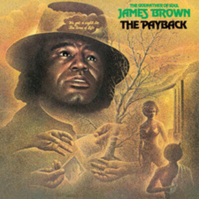 James Brown The Payback (Vinyl) (US IMPORT)