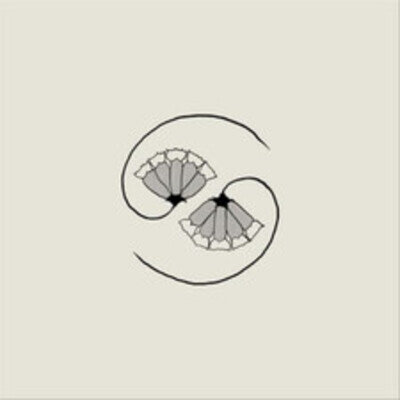 Godspeed You! Black Emperor G_d'S Pee at State'S End! (Vinyl)