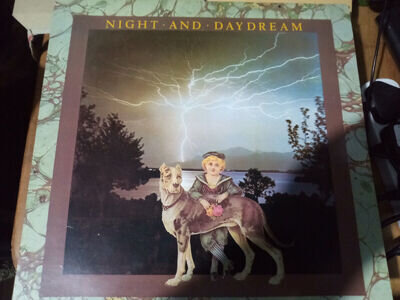 Night and Daydream 12" Special Copy Collectable Antique Vinyl