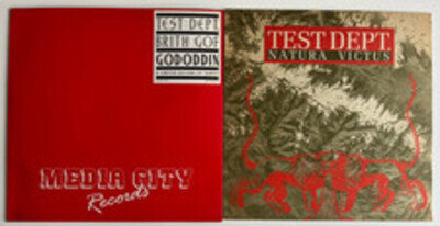 Test Dept. Lot of 2 12" Singles Natura Victus/Brith Gof Gododdin Sub Rosa Media