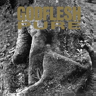 Godflesh 'Pure' Clear Vinyl - NEW