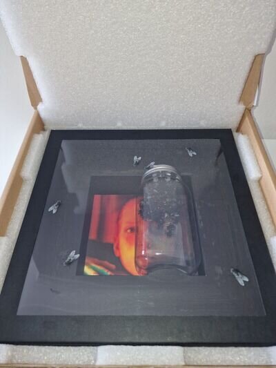 Alice In Chains - Jars of Flies 30th Anniversary Box Set. New. Tri Colored Vinyl