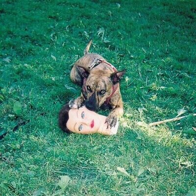 Joyce Manor - Cody [New Vinyl LP] Digital Download
