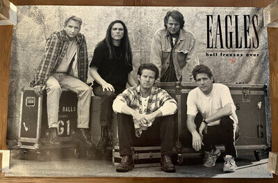 THE EAGLES RARE 1994 ORIGINAL HELL FREEZES OVER GEFFEN LP CD PROMO TOUR POSTER