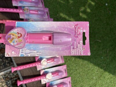 Disney Princess Recorder