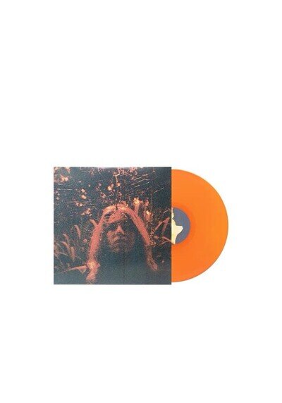 Turnover Peripheral Vision LP Clear Orange Autograph SIGNED Austin Getz Eric