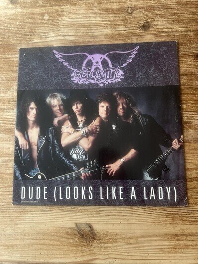 Aerosmith Dude (Looks Like a Lady) 12" Vinyl Record
