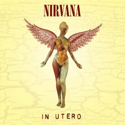 Nirvana : In Utero Vinyl 12" Album (2007) ***NEW*** FREE Shipping, Save £s