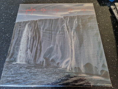 Pearl Jam Gigaton Double Vinyl LP Brand New & Sealed