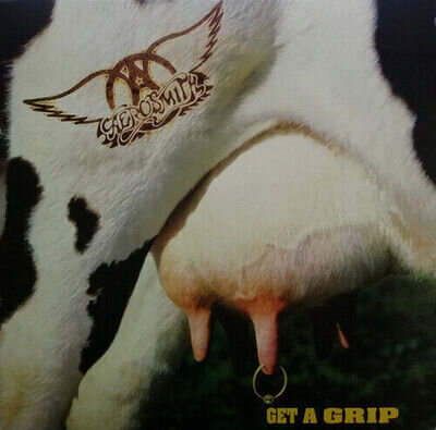 Aerosmith : Get a Grip VINYL 12" Album 2 discs (2017) ***NEW*** Amazing Value