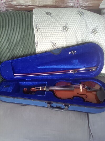 Students beginers violin