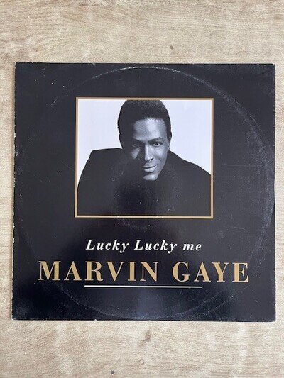 Marvin Gaye - Lucky Lucky Me 12" - 1994 Motown Vinyl - 6 x Mixes - Good Cond