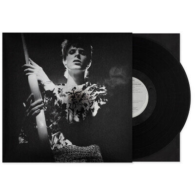 David Bowie | Rock N Roll Star! | Black Vinyl LP