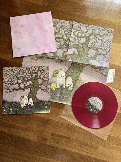 J Mascis Tied To A Star Pink colored Vinyl Poster Loser Ltd Edition Dinosaur Jr