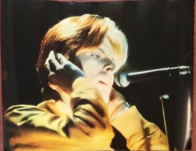 Vintage David Bowie Poster 80x60cm CH6340 BAAR
