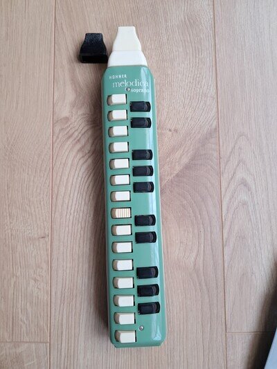 Vintage Hohner Melodica Soprano In Original Case, Fantastic Cond. Made 50/60s