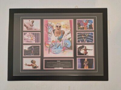 Pink Signed Reproduction Print Poster In A Magnetic Picture Frame