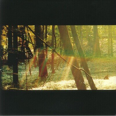 CHILDISH GAMBINO - Camp - Vinyl (trifold 180 gram vinyl 2xLP)