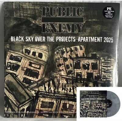 IN HAND!! Public Enemy Black Sky Over the Projects: Apartment WIND LP W/SIGNED