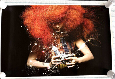 Bjork "Cosmogony" Autograph/Signed Lithograph, 2013 Paris VIP, Mint condition